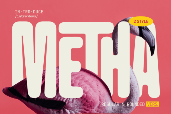 Metha: Discovering a Font with Modern Warmth and Style